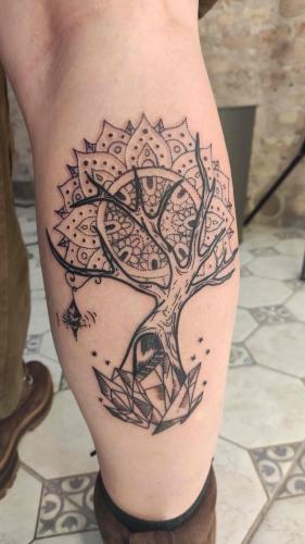 IMG_0485_45_IMGCentury