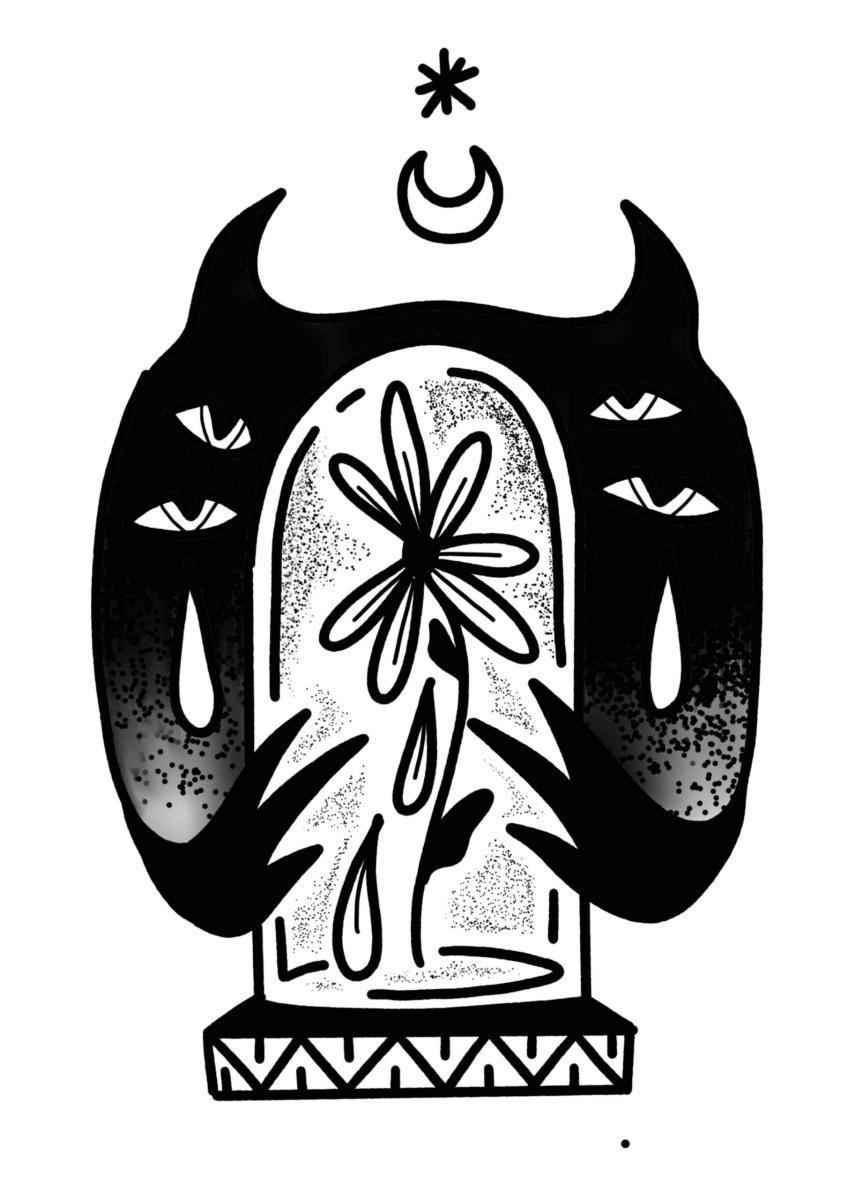 IMG_3206_24_IMGCentury